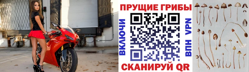 Купить где  Вилюйск  Галлюциногенные грибы MAGIC MUSHROOMS 